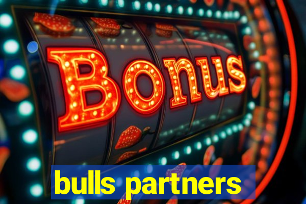 bulls partners